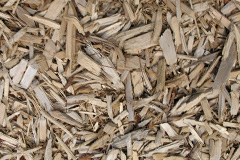 biomass boilers Trunch