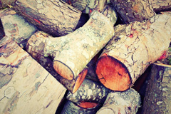 Trunch wood burning boiler costs